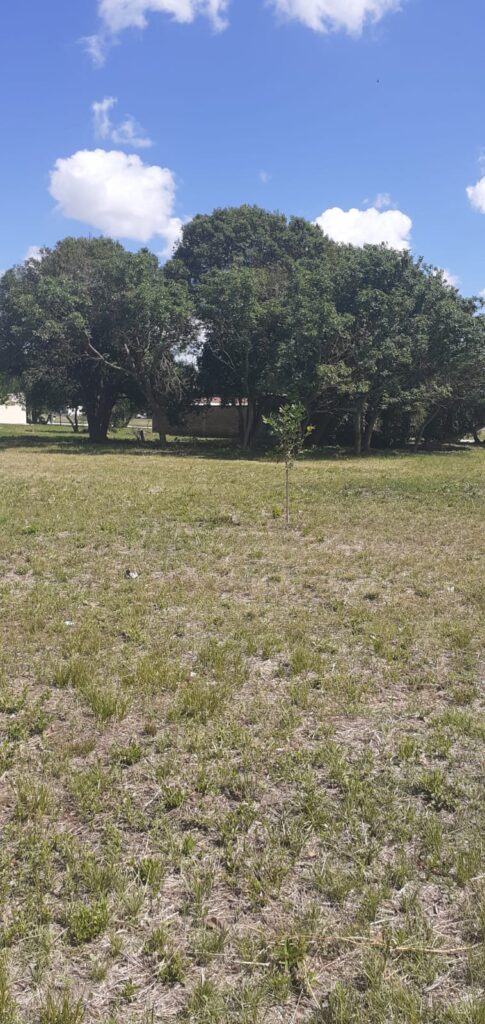 Venta de terreno – XX de Septiembre